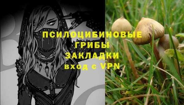 ECSTASY Краснослободск