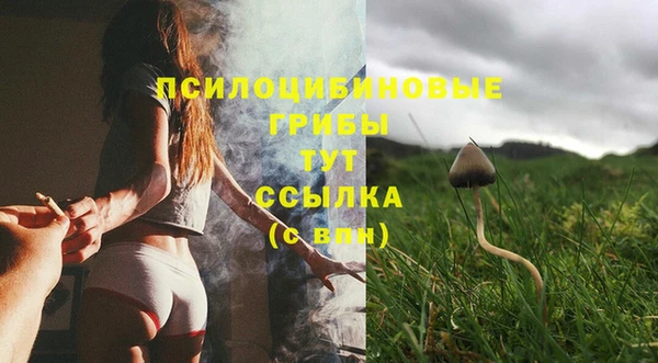 ECSTASY Краснослободск