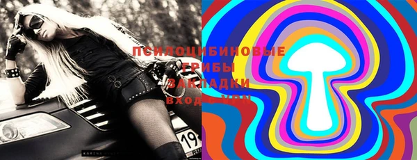 ECSTASY Краснослободск
