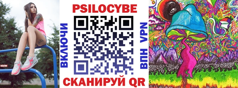 Купить где  Циолковский  Псилоцибиновые грибы Cubensis 